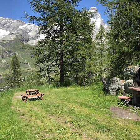 Cozy Studio Apartment بيريوِل تْشيرفينيا المظهر الخارجي الصورة